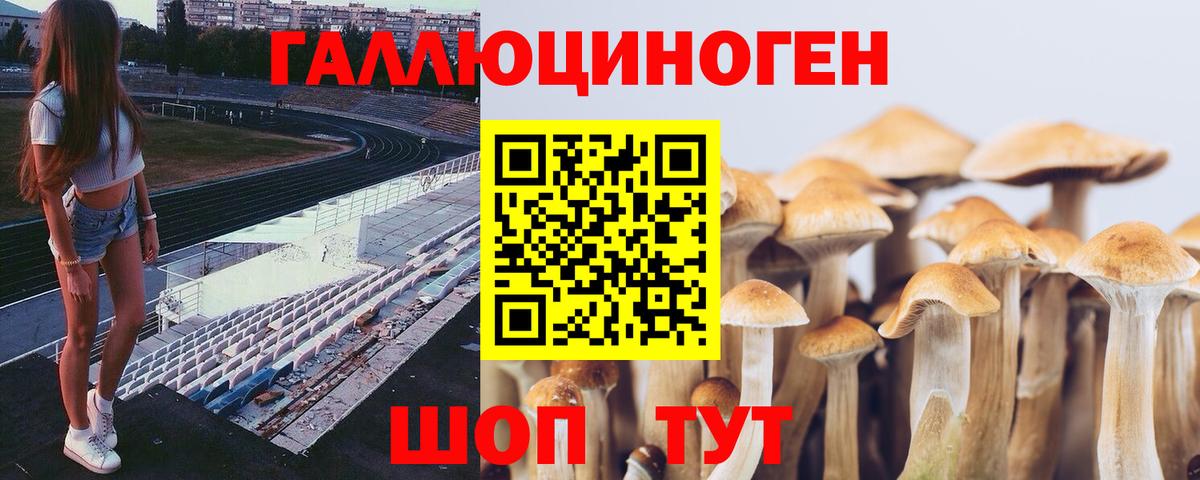 Шадринск  наркота  Вход с VPN  Галлюциногенные грибы мухоморы 